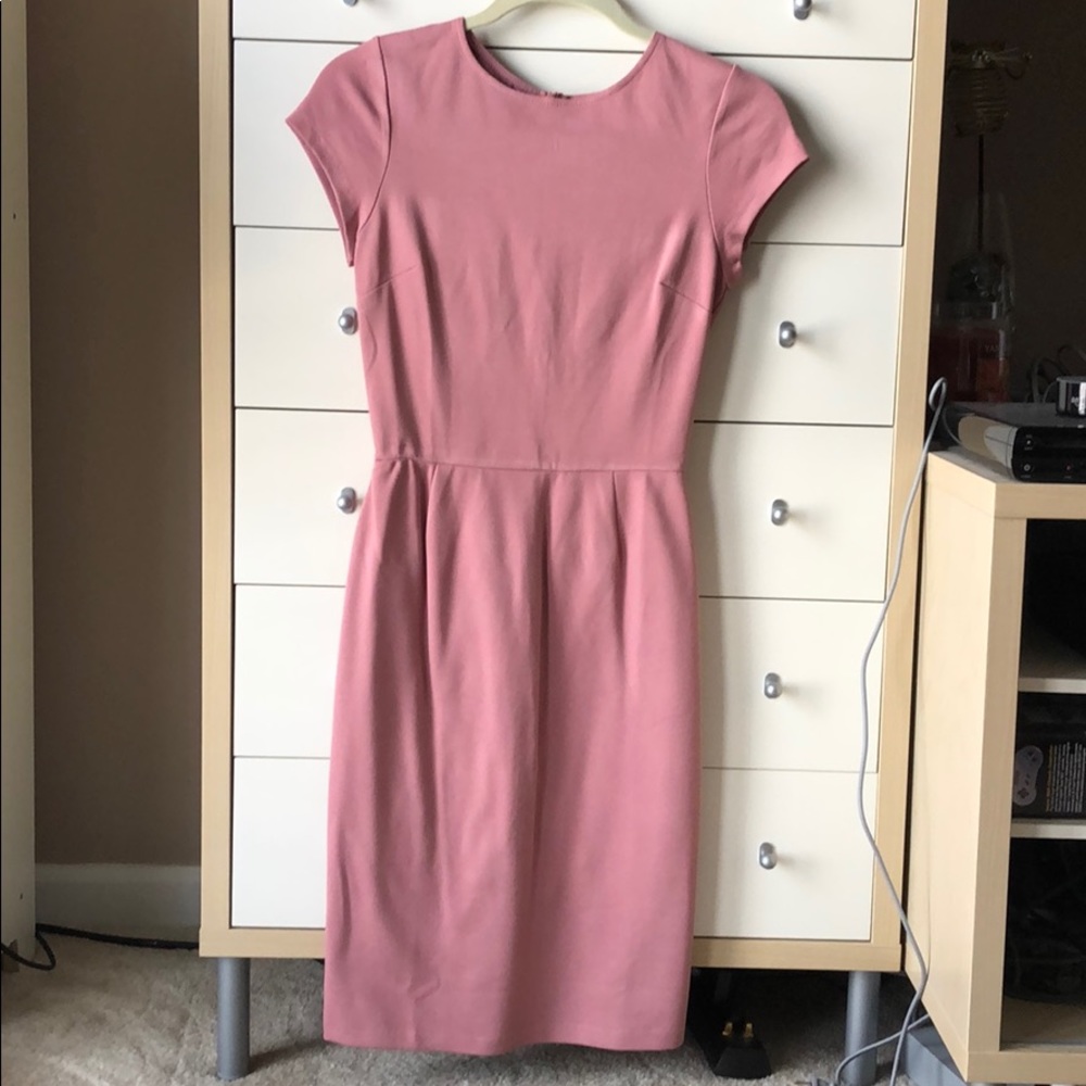 Love...Ady Small Dusty Rose Form Fitted Dress